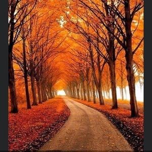 Meet your Posher, Penny